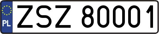 ZSZ80001