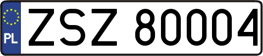 ZSZ80004