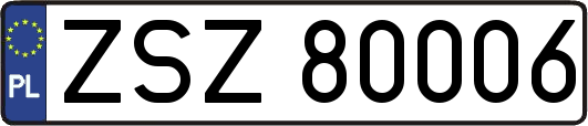 ZSZ80006