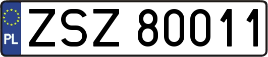 ZSZ80011