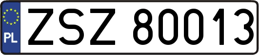 ZSZ80013