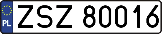 ZSZ80016