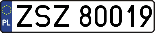 ZSZ80019