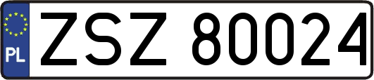 ZSZ80024
