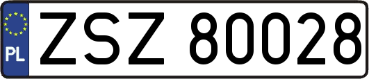 ZSZ80028