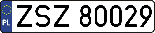 ZSZ80029