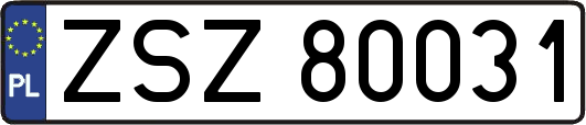 ZSZ80031