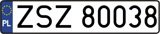 ZSZ80038
