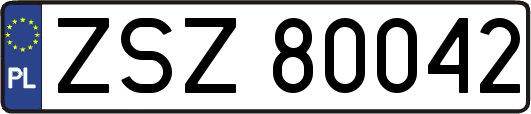 ZSZ80042