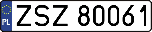ZSZ80061