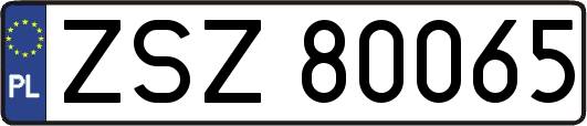 ZSZ80065