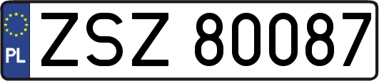 ZSZ80087