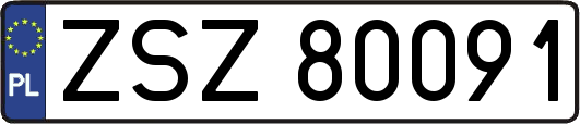 ZSZ80091
