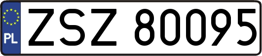 ZSZ80095