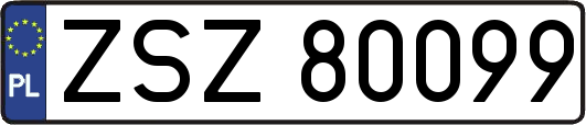 ZSZ80099