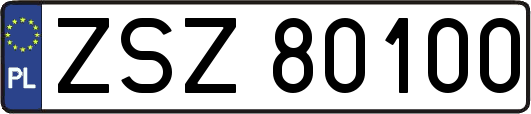 ZSZ80100