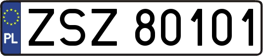 ZSZ80101