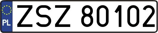 ZSZ80102