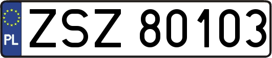 ZSZ80103