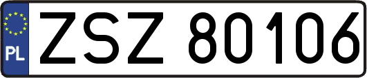 ZSZ80106