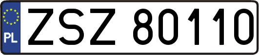 ZSZ80110