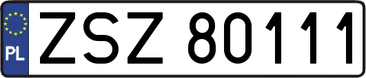ZSZ80111