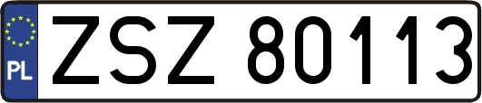 ZSZ80113
