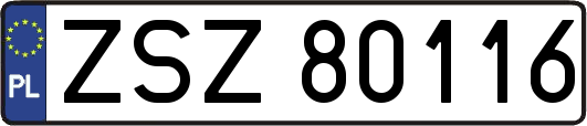 ZSZ80116