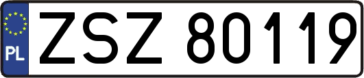 ZSZ80119