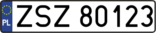 ZSZ80123