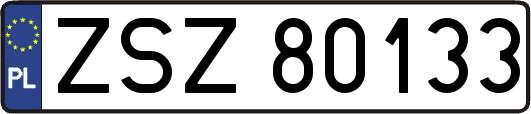 ZSZ80133