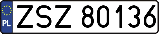 ZSZ80136