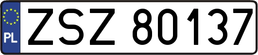 ZSZ80137