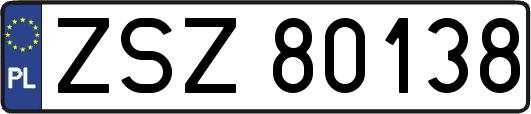 ZSZ80138