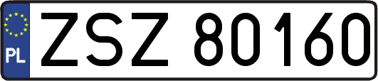 ZSZ80160