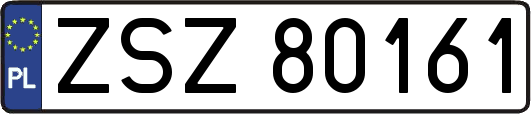 ZSZ80161