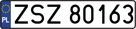 ZSZ80163