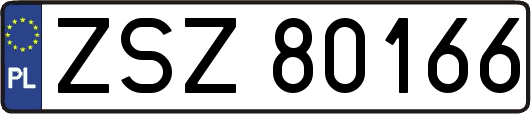 ZSZ80166