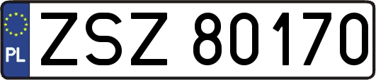 ZSZ80170