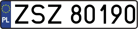 ZSZ80190