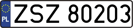 ZSZ80203