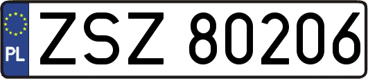 ZSZ80206