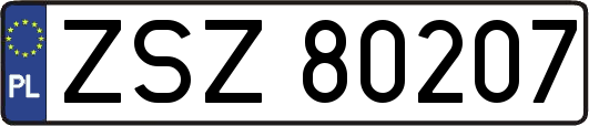 ZSZ80207