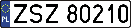 ZSZ80210