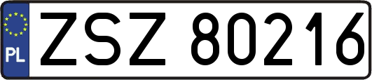 ZSZ80216