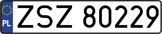 ZSZ80229