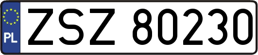 ZSZ80230