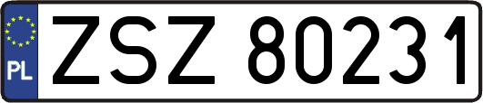 ZSZ80231