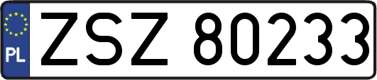ZSZ80233