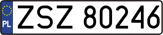 ZSZ80246